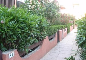 Studio - Canet en Roussillon