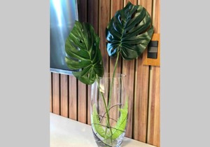 Studio Holandeses VISTA MAR