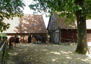Studio in holiday farm, Dorfmark