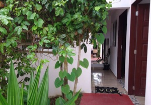 Suíte 8 com piscina e wi-fi em Caraguatatuba