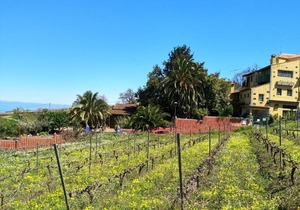 Suerteluna casa rural