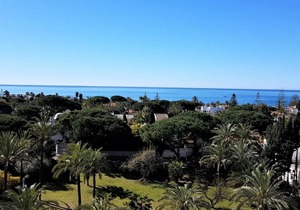 Suitur estudio el coronado 4 personas 218