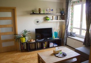 Sunny family apartment in Prague Žižkov