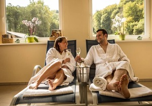 Superior Double Room - Waldhotel Felschbachhof