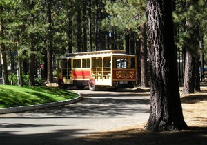 Tahoe Valley Cottage 1