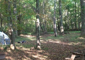 Tent Space – Assigned Spot with Electrical #5