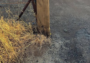 Tentrr Signature Site - Rancho Amador Site 2