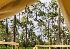 Tentrr State Park Site - Louisiana Bogue Chitto State Park - Gorge Trail O - Sin