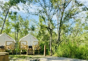 Tentrr State Park Site - Louisiana Tickfaw State Park - Woodland E - Double Camp