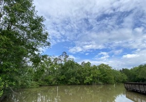 Tentrr State Park Site - Louisiana Tickfaw State Park - Woodland E - Double Camp
