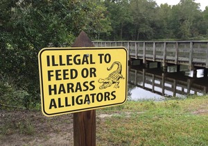 Tentrr State Park Site - Louisiana Fontainebleau State Park - Pond View F - Sing
