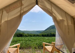 Tentrr State Park Site - Taconic State Park High Valley Rd Site E