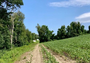 Tentrr State Park Site - Taconic State Park High Valley Rd Site E