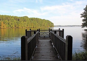 Tentrr State Park Site - Louisiana North Toledo Bend State Park - Lakeview A - Single Camp