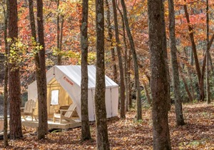 Tentrr State Park Site - Mississippi JP Coleman State Park - Shady Bluff A - Single Camp