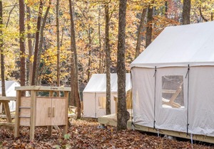 Tentrr State Park Site - Mississippi JP Coleman State Park - Shady Bluff A - Single Camp