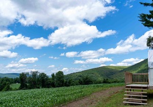 Tentrr State Park Site - NY Taconic State Park: High Valley Rd Site B