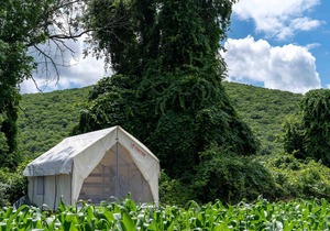 Tentrr State Park Site - NY Taconic State Park: High Valley Rd Site C
