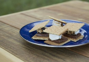 Tentrr State Park Site - NY Taconic State Park: High Valley Rd Site E
