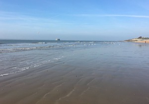 The beach at the end of the road, sleeps 8, fast wifi, private parking