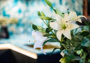 The Burgoyne - Stunning Hotel with Amazing Views and Impeccable Service