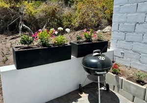 The Cottage at Paradise Found