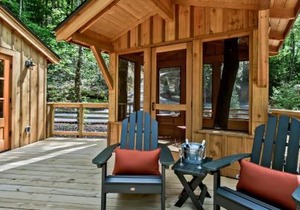 The Elm in Treehouse Grove at Norton Creek