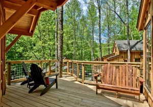 The Elm in Treehouse Grove at Norton Creek