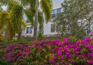 The Fountain 202 - One Bedroom Condominium