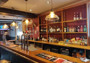 The Fox