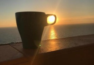 THE PARADISE ON THE OCEAN 7