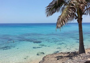 The Paradise On The Ocean 3