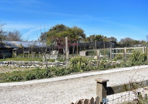 The Plough Shed- 24493