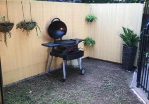 The Tropical Sanctuary