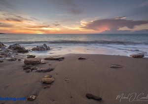 The Tropical Sanctuary