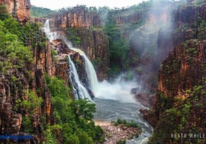 The Tropical Sanctuary