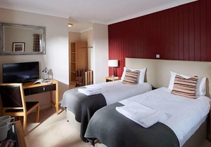 The White Swan Arundel