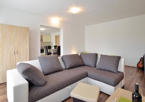 This modern and comfortably furnished apartment is located in Vi.