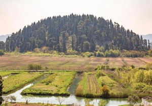Three-Bedroom Apartment In Rogotin