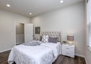 Tiger Shark Room | SJ Shark House