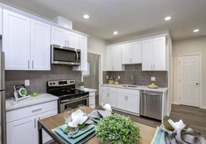 Tiger Shark Room | SJ Shark House