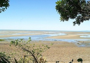 Tomatea Rua - Golden Bay Bach (Pakawau Beach), PAKAWAU