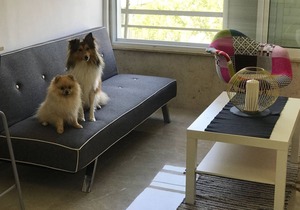 Top Central place: Haifa - Akko - Beach: Real home