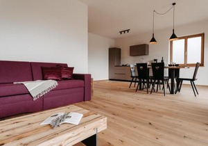 Torgglbauer Apartment 1