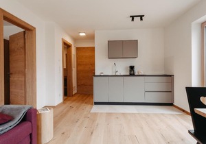Torgglbauer Apartment 3
