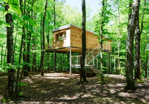 Treehouse Lika 2