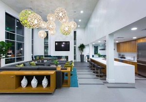 TRIBE Clean, Modern & New 1BR in North San Jose