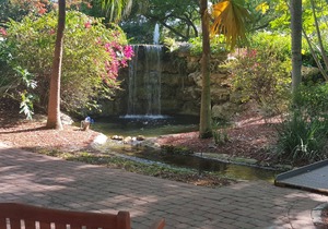 Tropical Paradise Resort