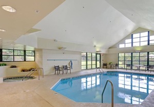 Ultimate Escape! 2 Amazing Units in Nature Setting, Near Little Pigeon River