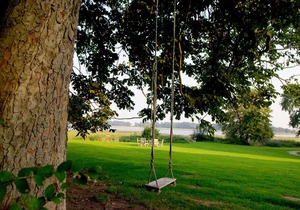 Vacation apartment/apartment for 2 guests with 50m² in Neuenkirchen (120172)